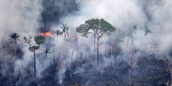 Amazonia - incendios