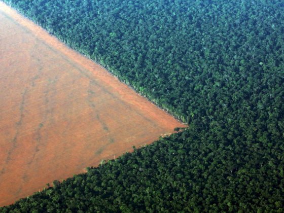 amazonia-desmatamento-soja